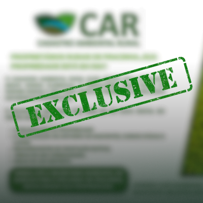 Design sem nome (19)